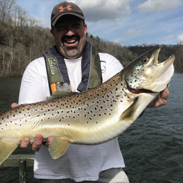 Rainbow, Brown, Brook Trout